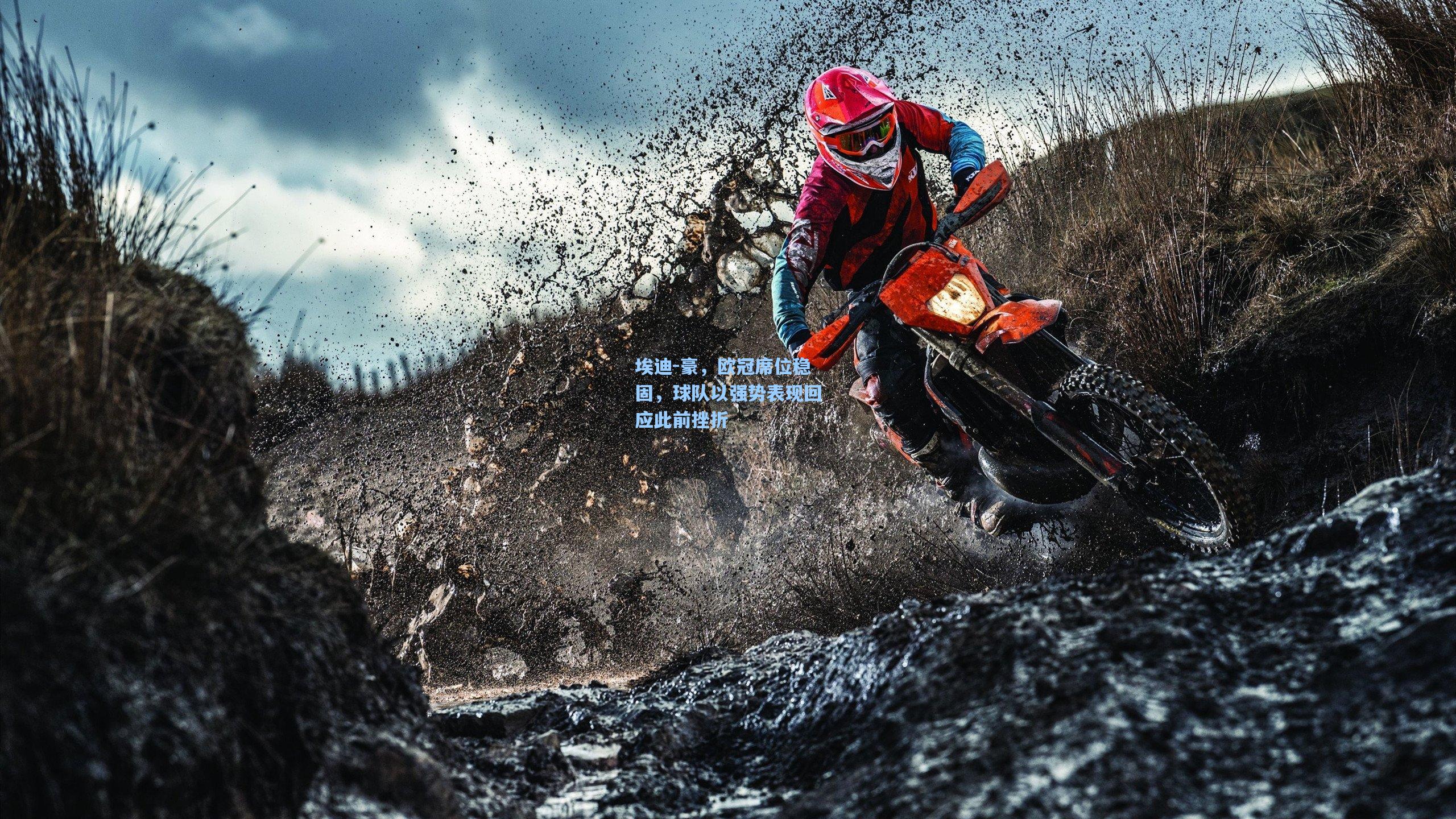 埃迪-豪，欧冠席位稳固，球队以强势表现回应此前挫折