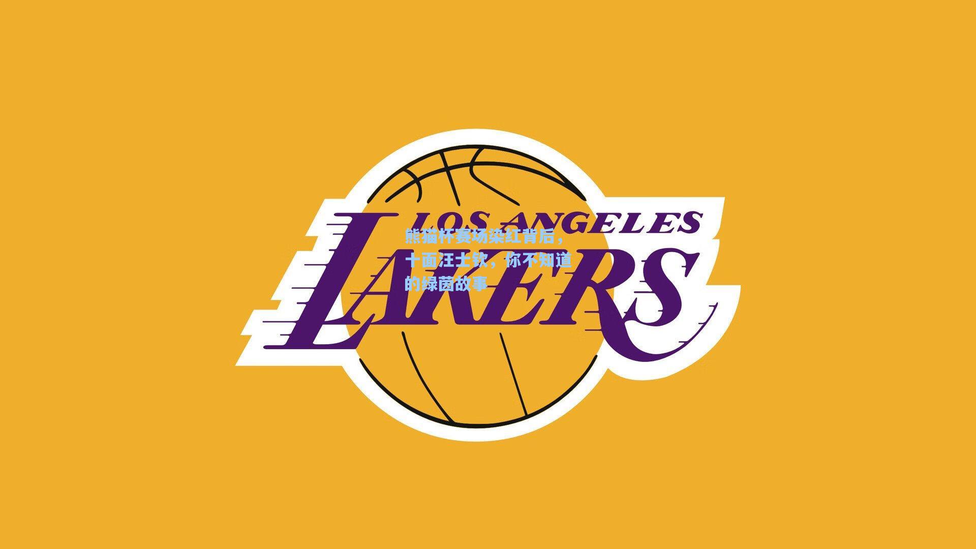 熊猫杯赛场染红背后，十面汪士钦，你不知道的绿茵故事